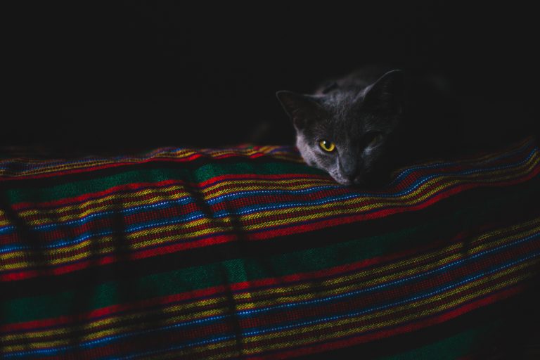 Ensuring Warmth and Comfort